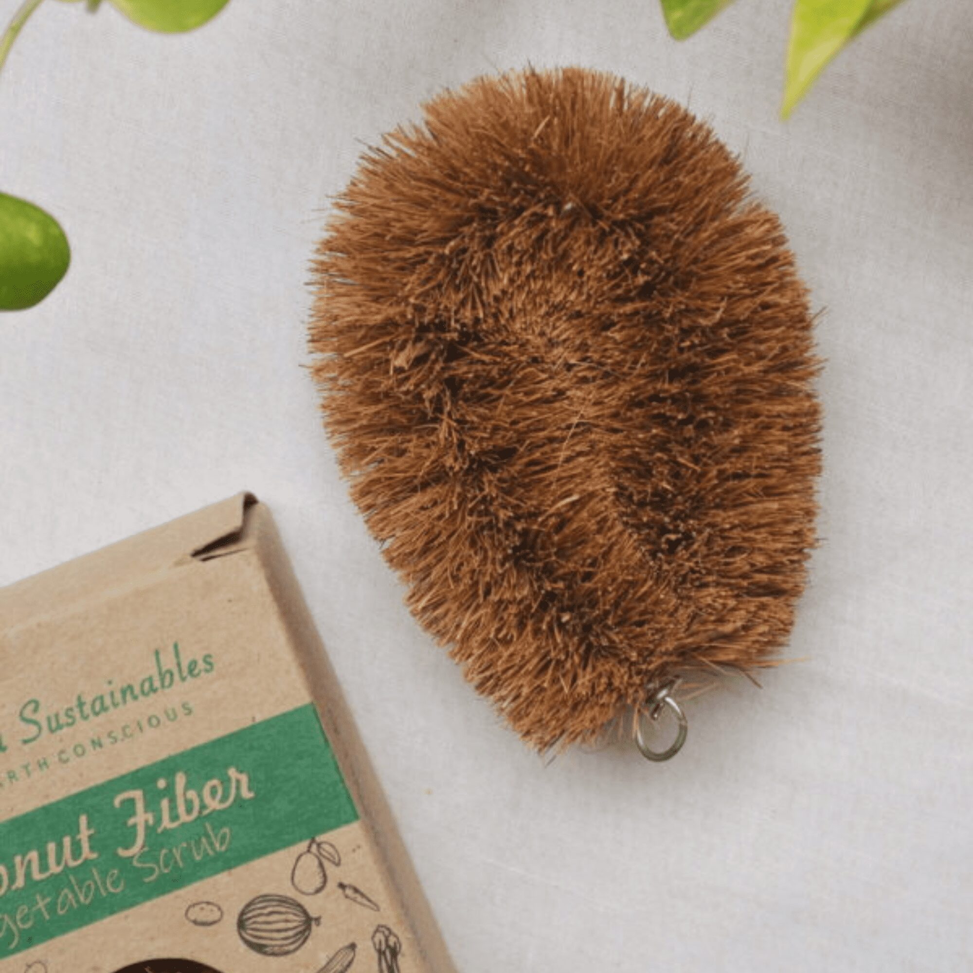 Coconut Coir Scrubber & Vegetable Brush Set - Image 2