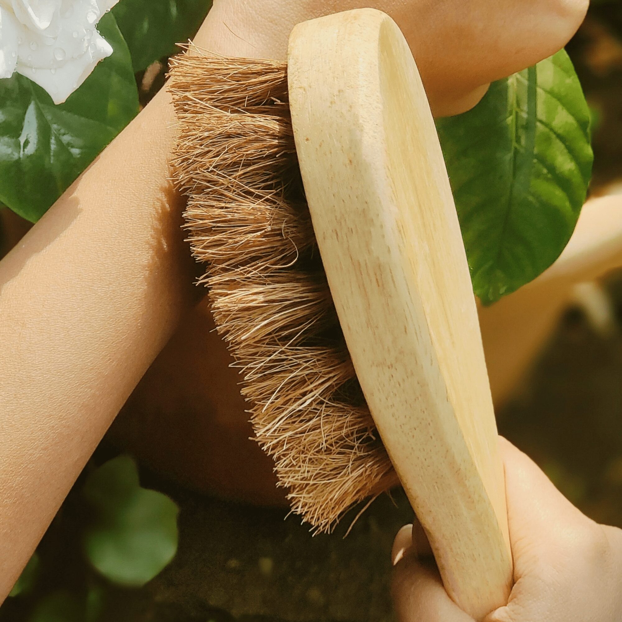 Eco-Friendly Coconut Fiber Dry Body Brush with Bamboo Handle - Image 2