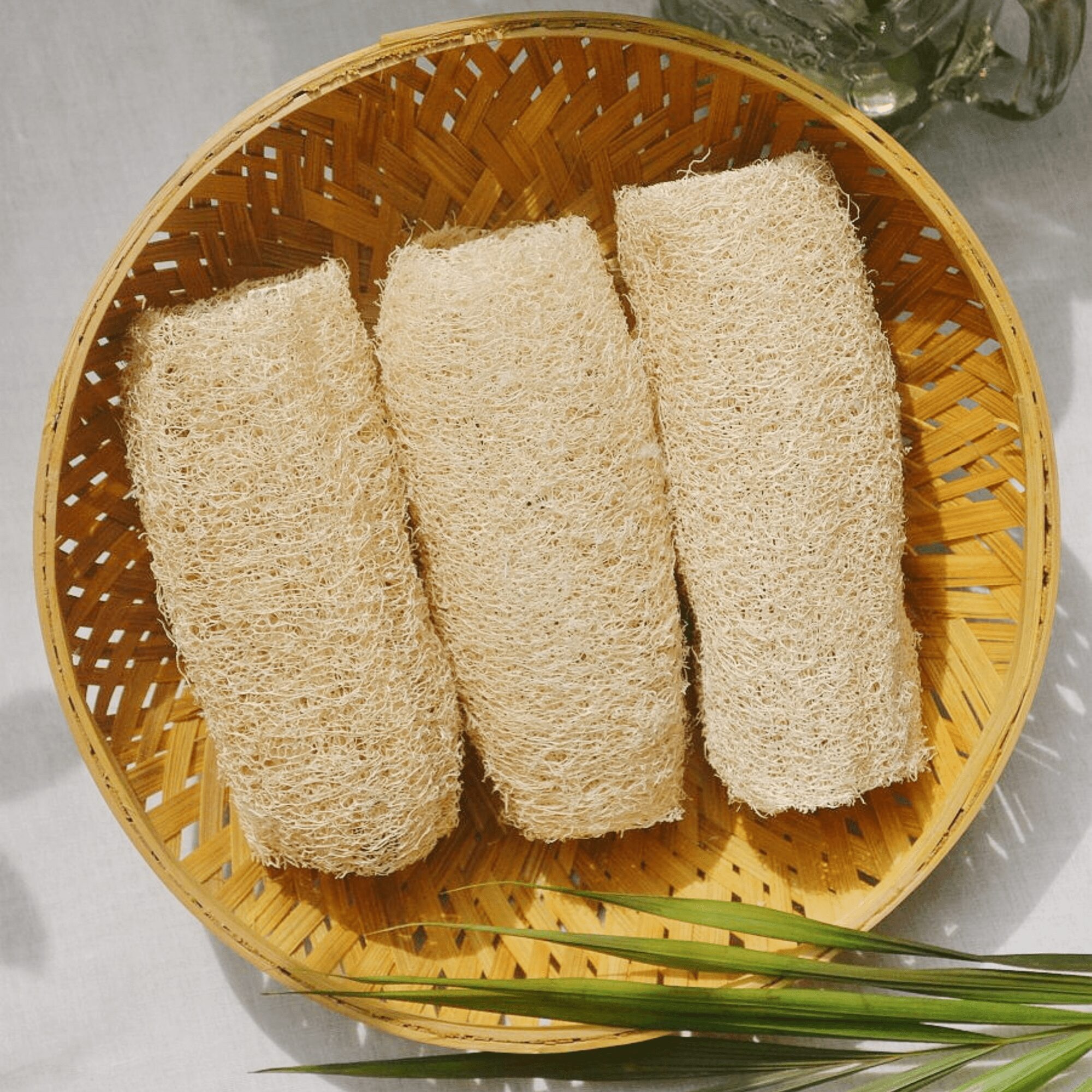Three eco-friendly loofah sponges neatly placed in a round handwoven bamboo basket, surrounded by tropical leaves and natural light — ideal for eco-conscious exfoliation and plastic-free living.