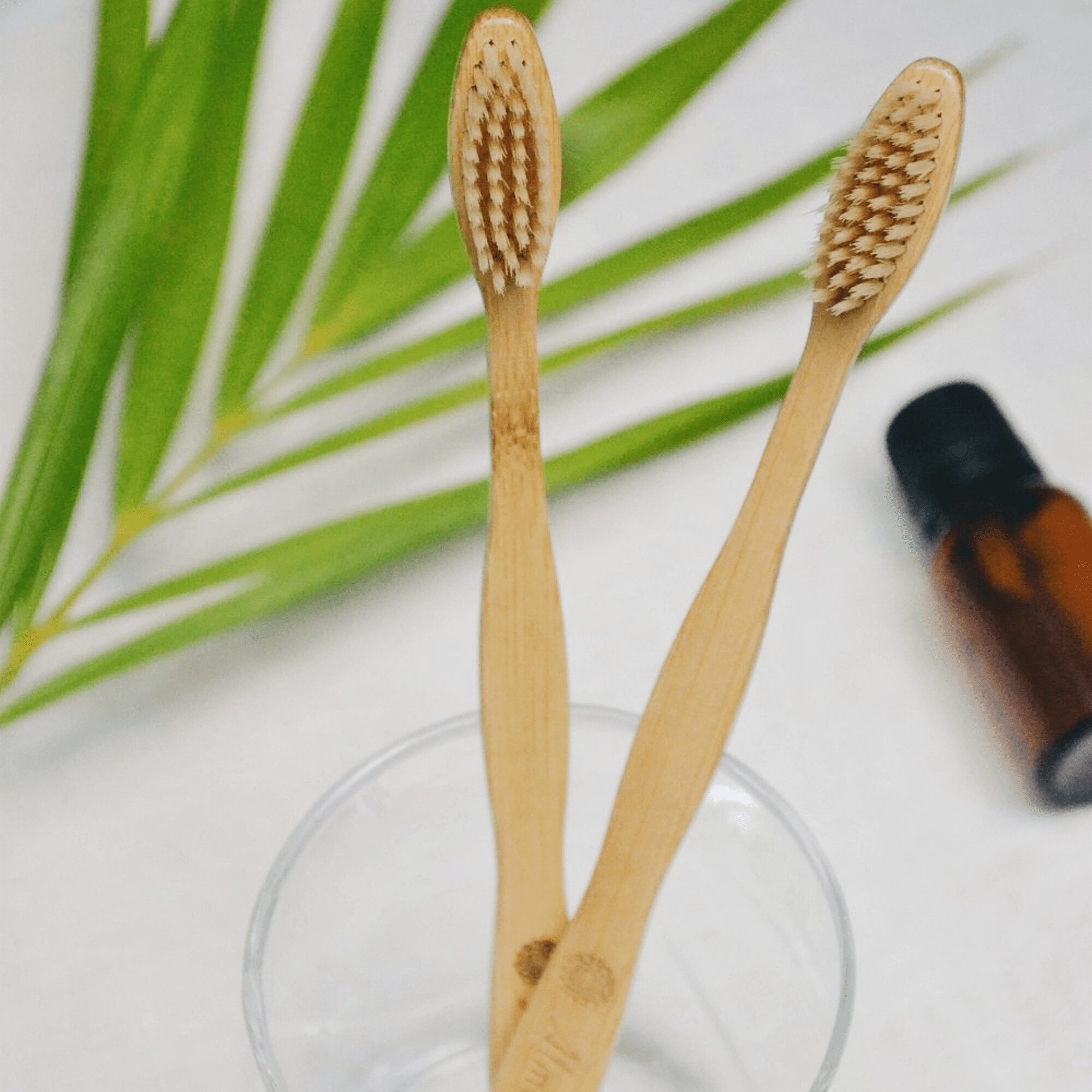 Two biodegradable bamboo toothbrushes with natural bristles in a glass, set on a minimalist, eco-friendly background.