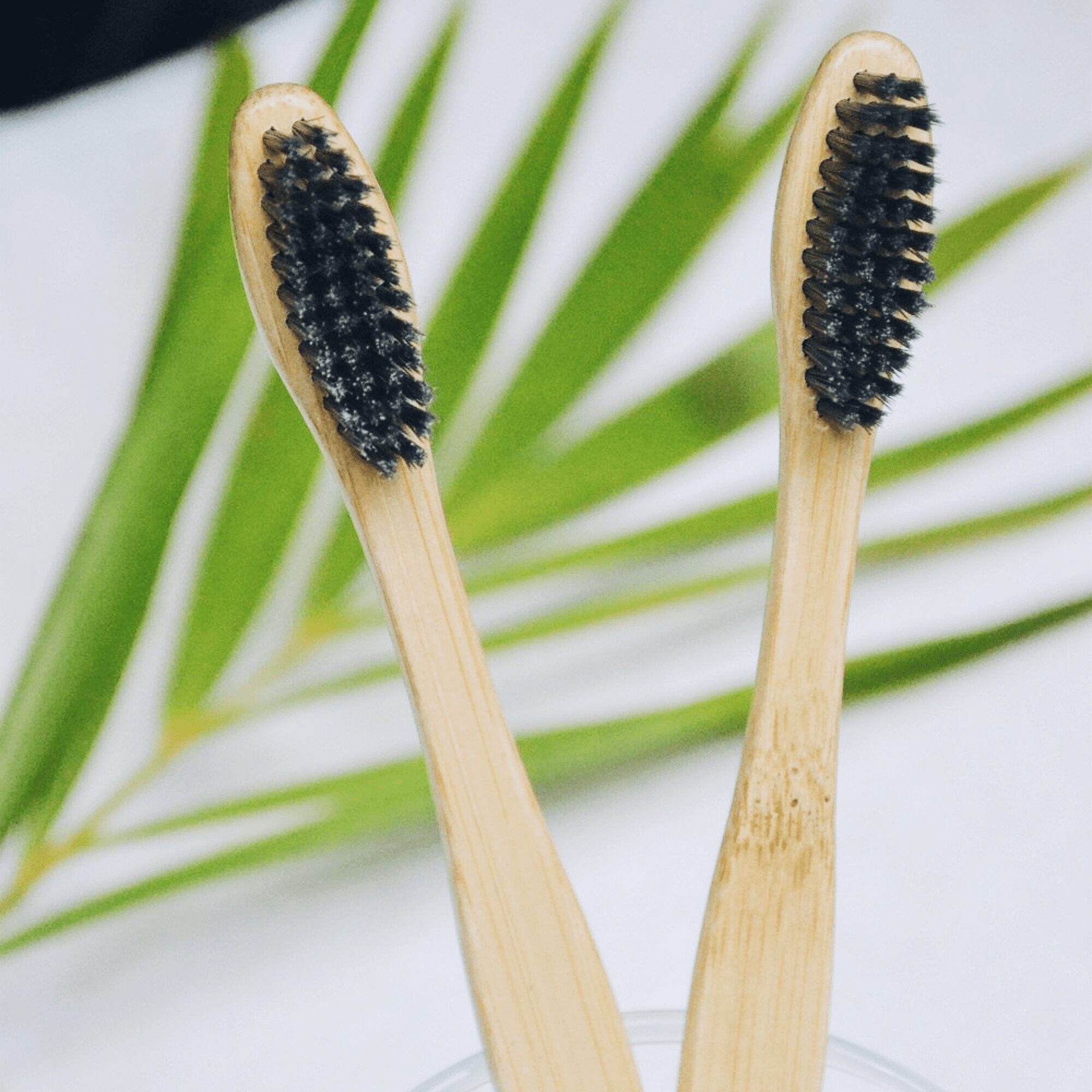 Two bamboo charcoal toothbrushes in a glass jar with green leaf background, minimalist zero-waste bathroom aesthetic