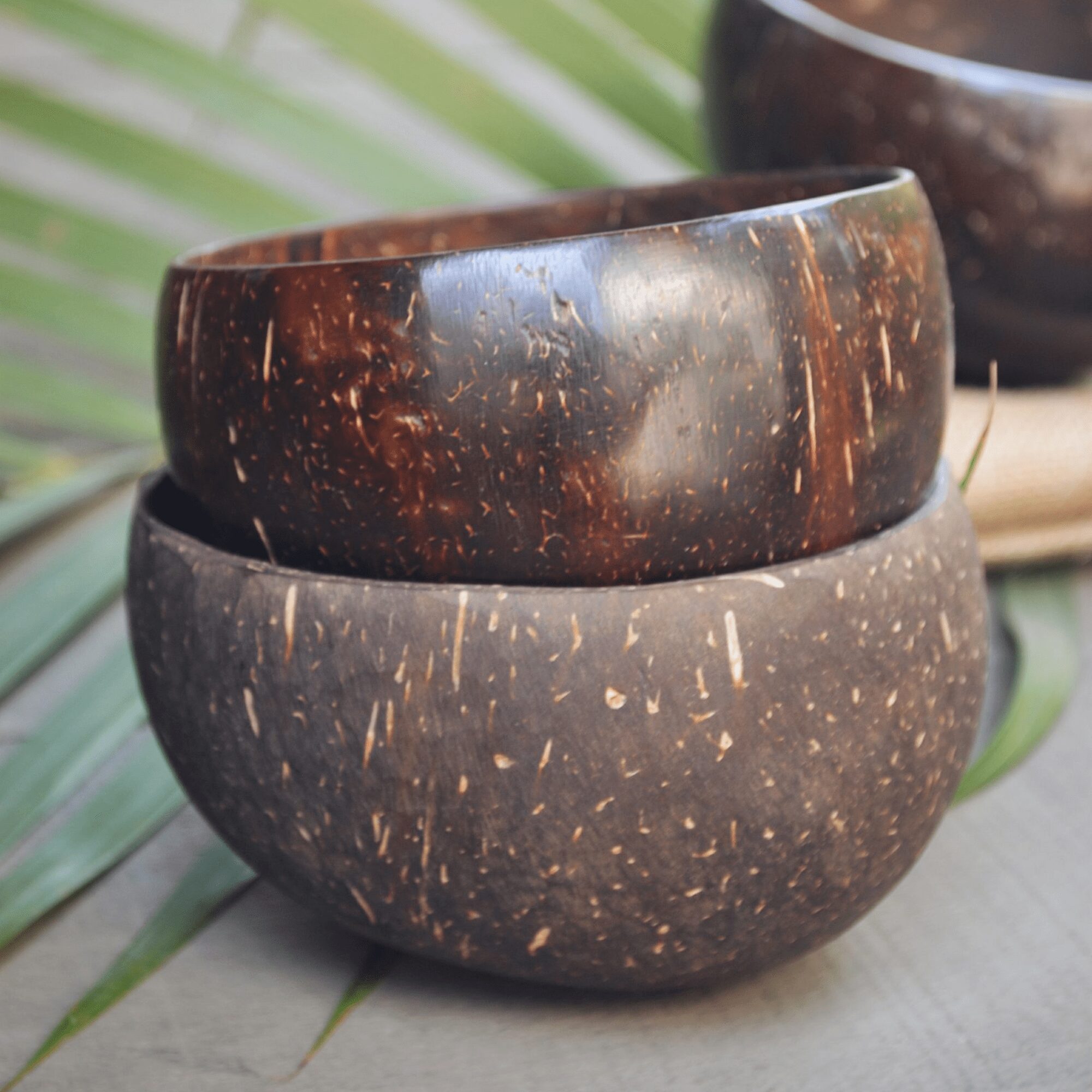 Two stacked natural coconut bowls with polished finish on a palm leaf backdrop – sustainable and reusable kitchenware.