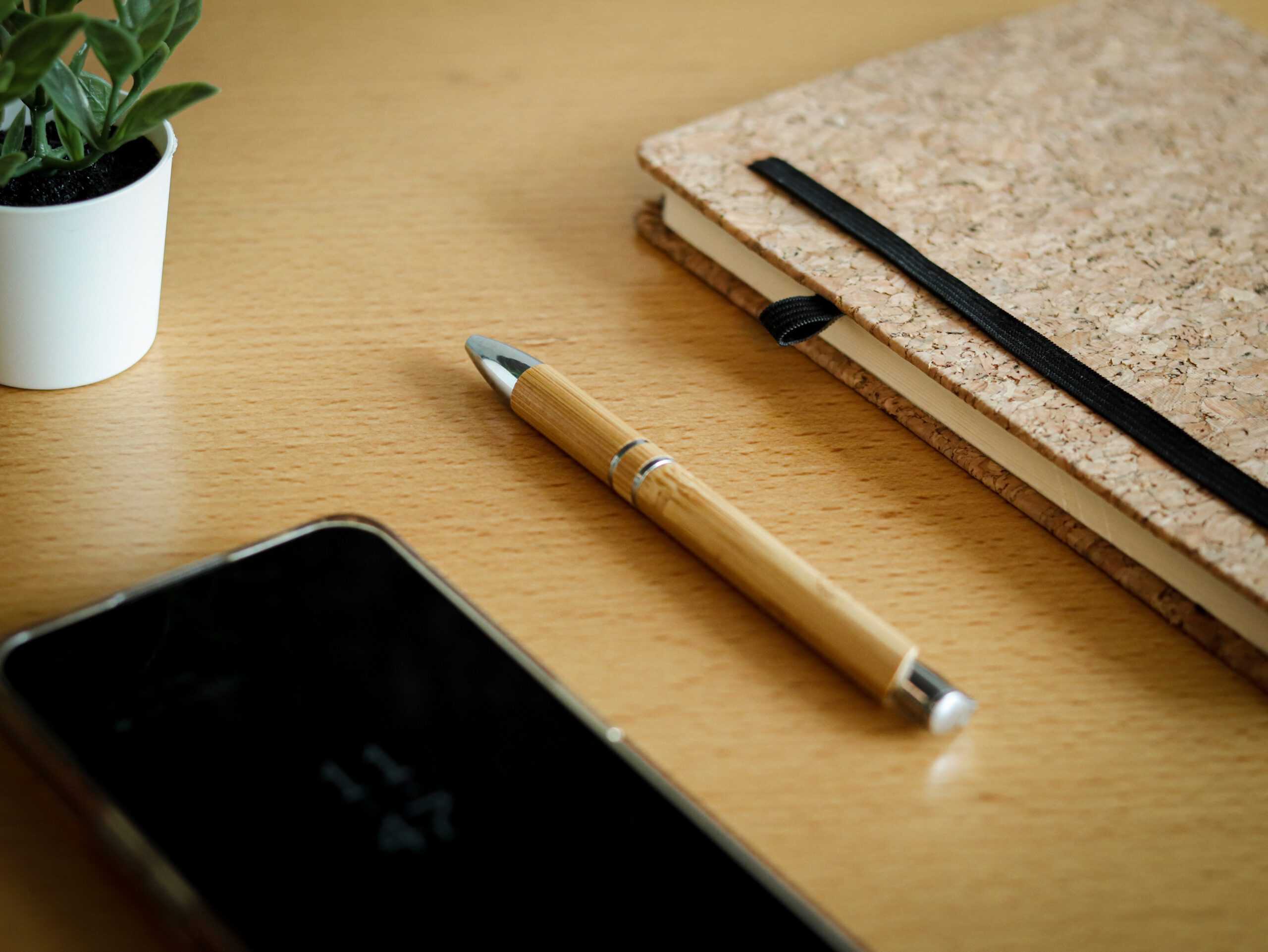 Bamboo Pen - Image 2