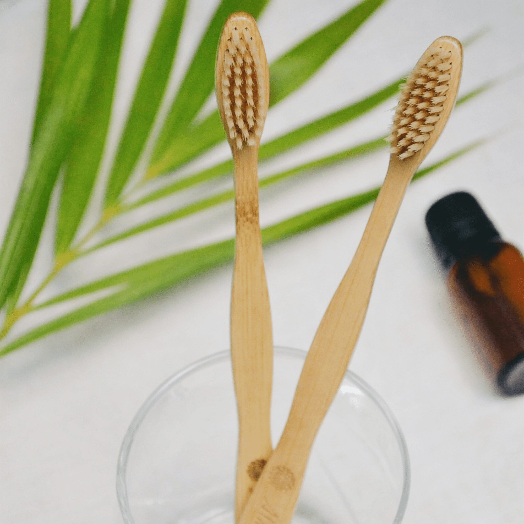 Kids Bamboo Toothbrush Pack of 2 – Eco-Friendly & Biodegradable - Image 2