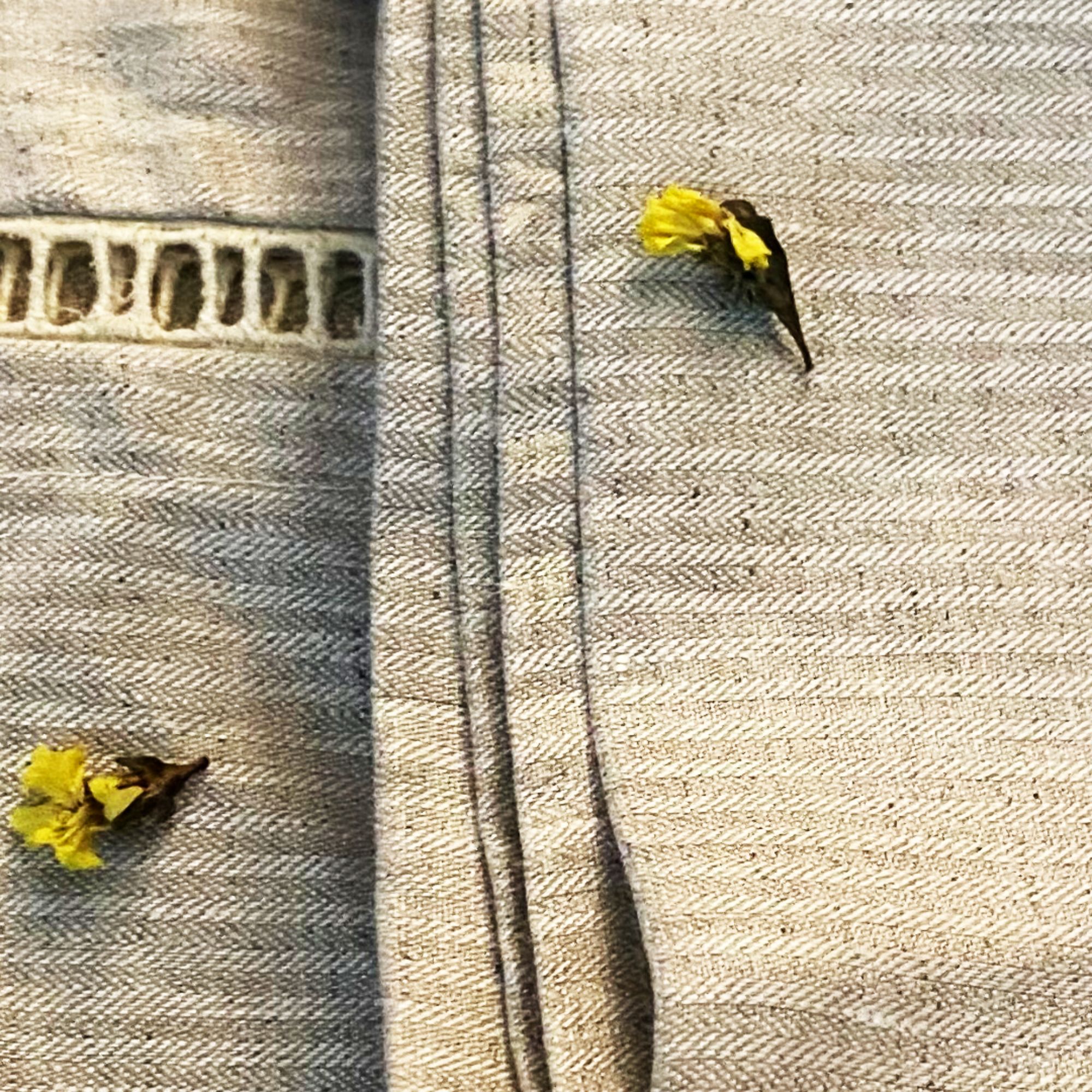 Dharti Bedsheet | 100% Hemp King Size Bedsheet in herringbone weave