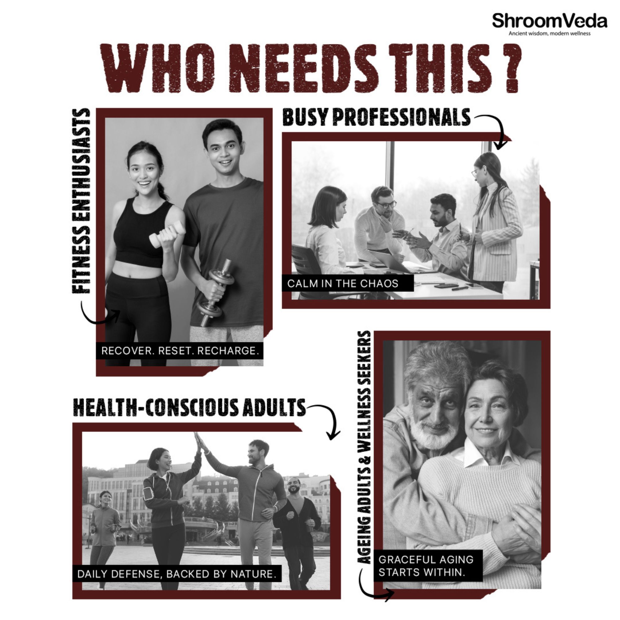 ShroomVeda ZEN Reishi Capsules| 800mg Reishi - Image 6